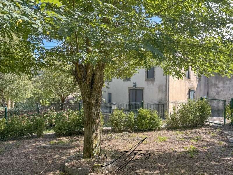 Maison à vendre 6 pièces 130 m2 FOURTOU (11) terrasse + terrain - photo 2