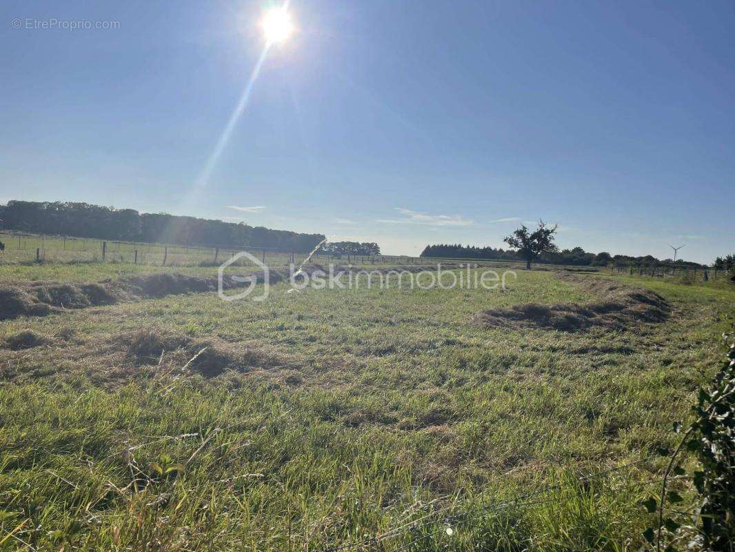 Terrain de 2 866 m² à Launstroff (57480) - photo 2