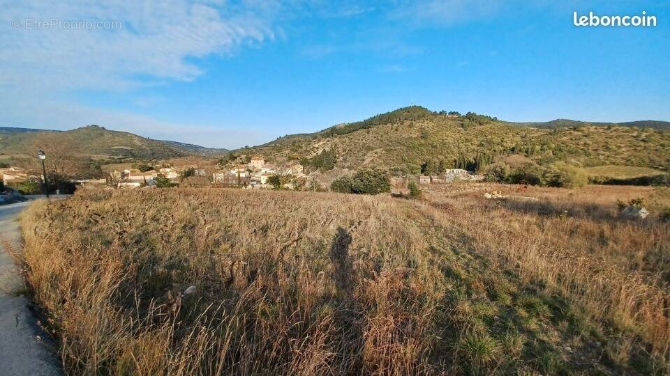 Terrain à VILLENEUVE-LES-CORBIERES