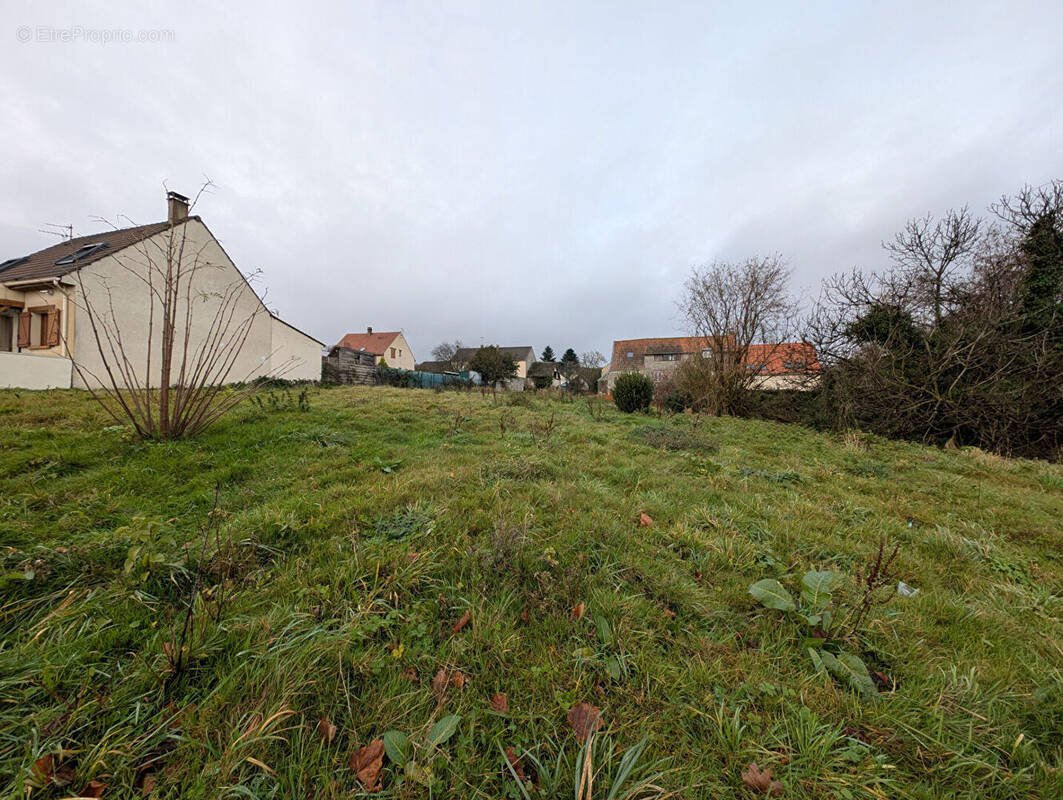 Terrain à DAMMARTIN-EN-GOELE