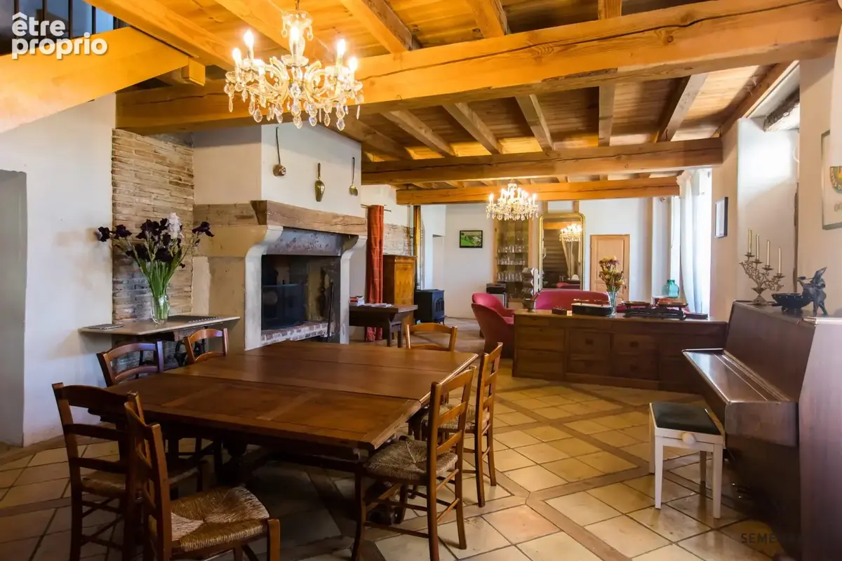 Maison 9 pièces 506 m² à vendre à Salvagnac (81630) - photo 5