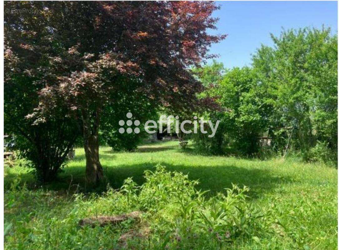 Maison à MAUPREVOIR