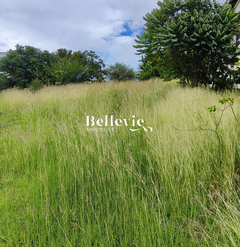 Terrain à TERRE-DE-BAS