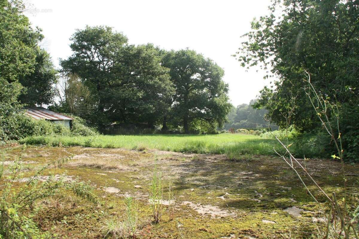 Vente Terrain Guehenno(56420) 34 000ï¿œ - photo 7