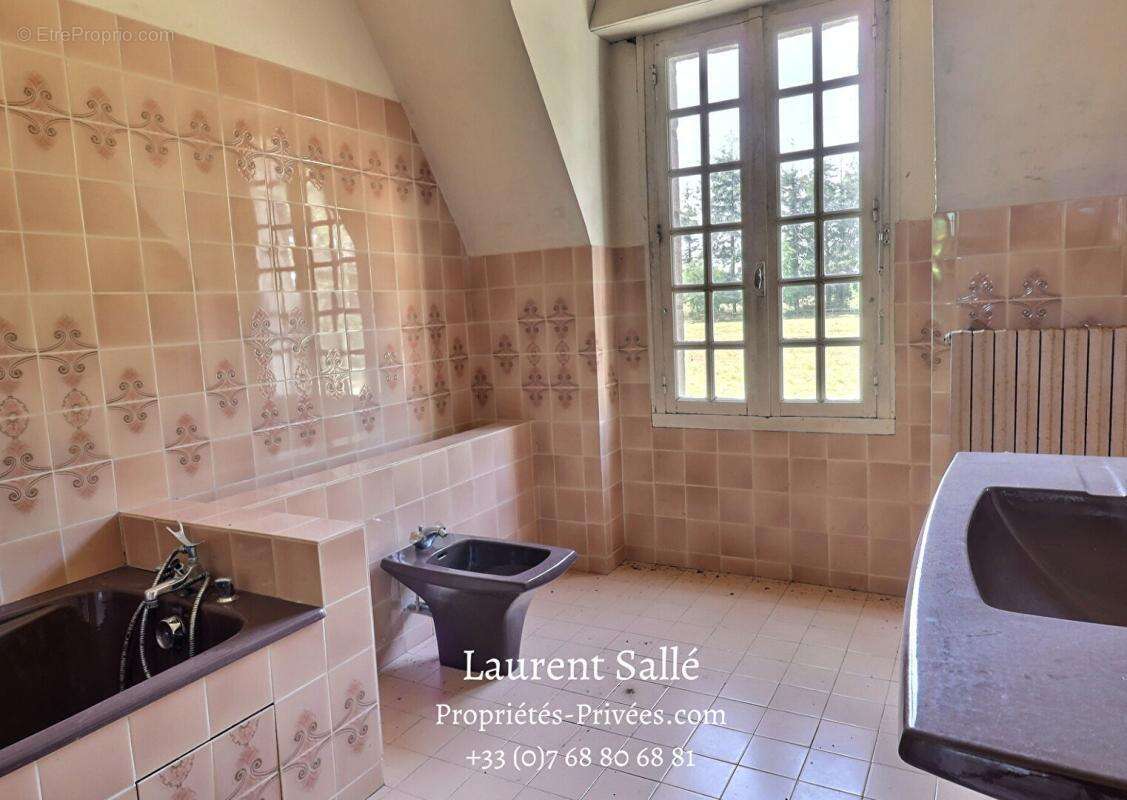 Maison de Maître de 250 m2, édifiée dans un parc boisée de plus de 4 hectares - photo 11