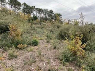 Terrain à FLASSANS-SUR-ISSOLE