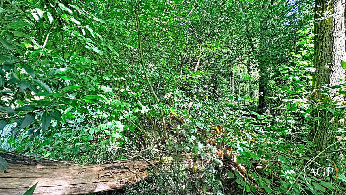 Terrain à SAINT-PATRICE