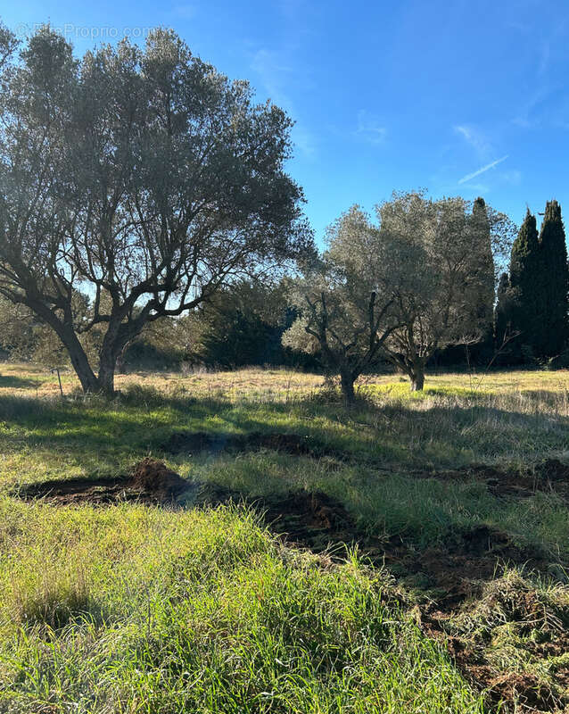 Terrain à SANARY-SUR-MER