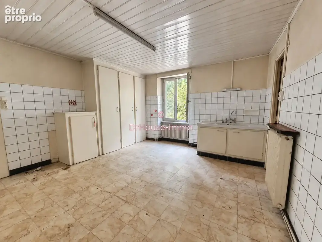 Appartement 220 m² à L'isle-Sur-Le-Doubs  - photo 5