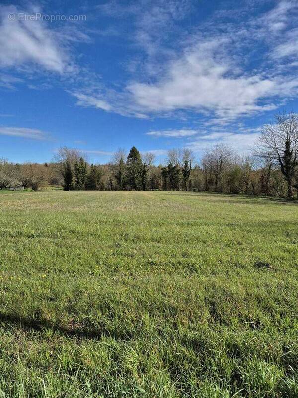 Terrain à TOURRIERS