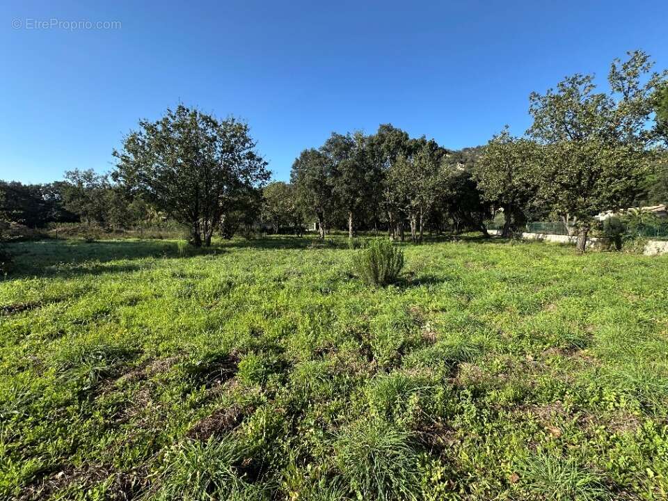 Terrain à PLAN-DE-LA-TOUR