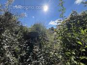 Terrain à SAINT-PRIX