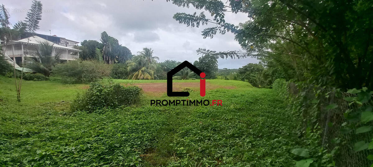 Terrain à LE LAMENTIN