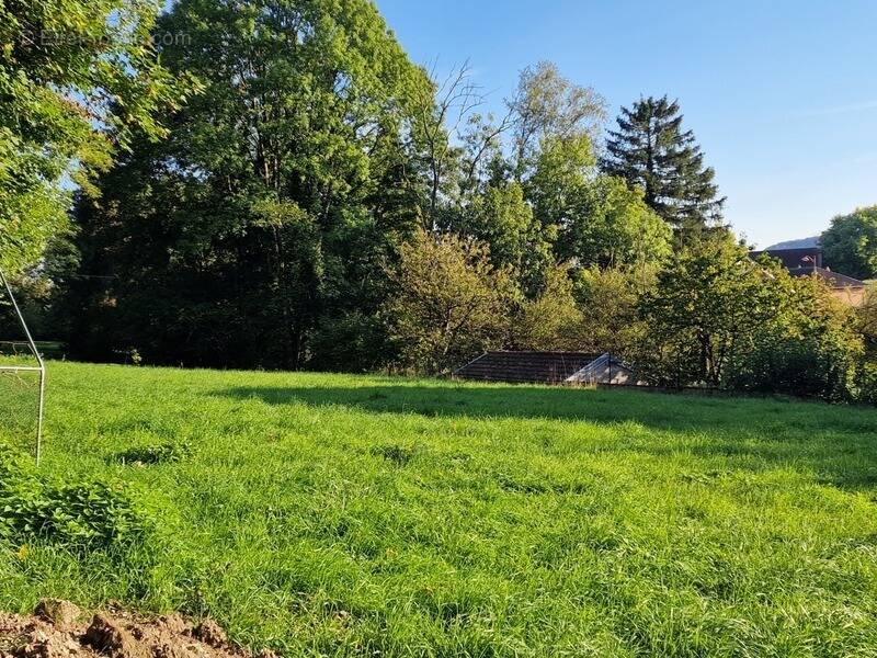 Terrain à VITTEL