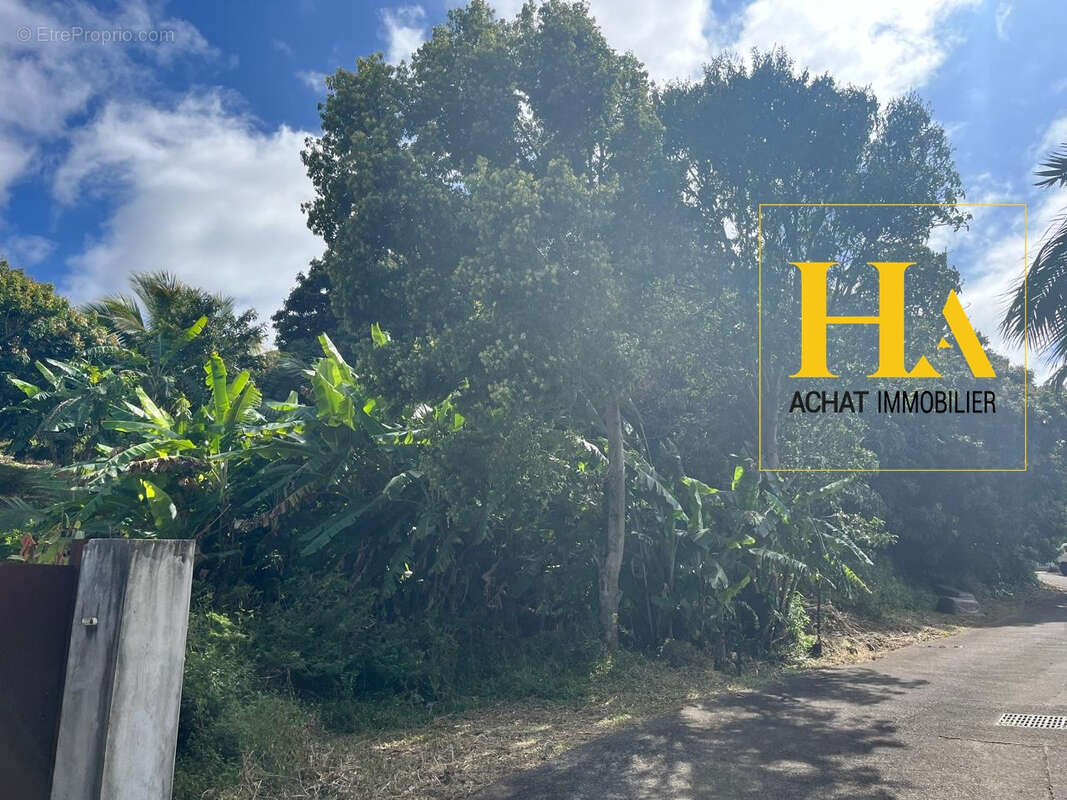 Terrain à SAINT-JOSEPH