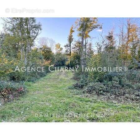 Terrain à CHAMBEUGLE