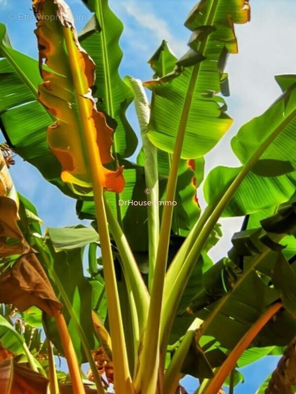 Maison à VILLEFRANCHE-SUR-SAONE