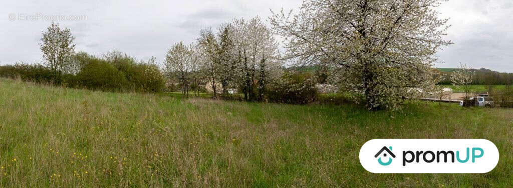 Terrain à MONTMIRAIL