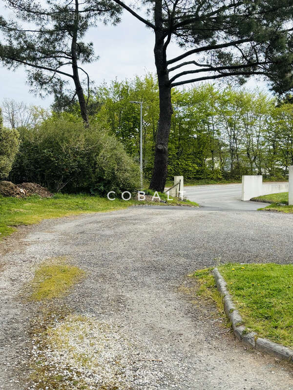 Terrain constructible - environnement calme - photo 2