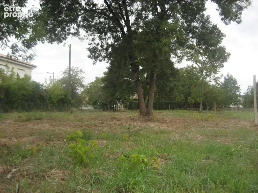 Terrain 1 398 m² à vendre à Beguey (33410) - photo 4