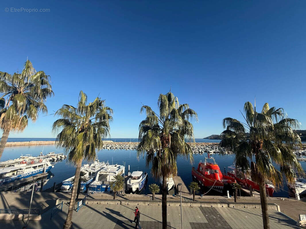 Photo 2 - Appartement à ARGELES-SUR-MER