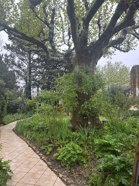 Maison à PERNES-LES-FONTAINES