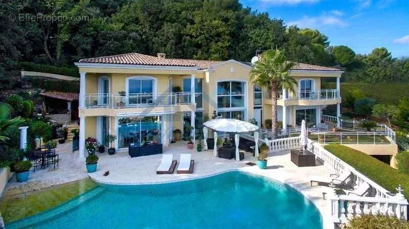 Piscine - Maison à VALLAURIS