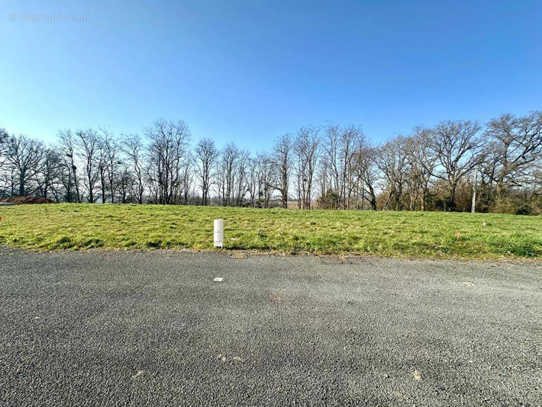 Terrain à CHATEAU-DU-LOIR