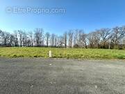 Terrain à CHATEAU-DU-LOIR