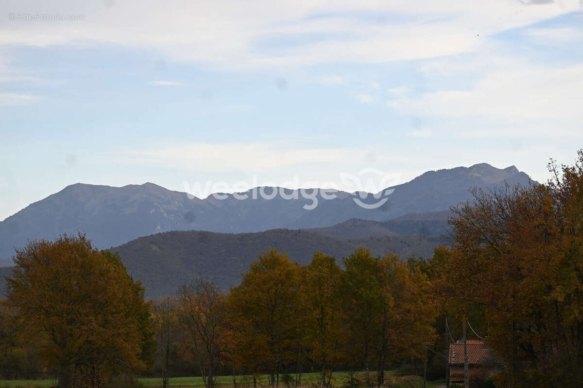 Terrain à LES TOURREILLES