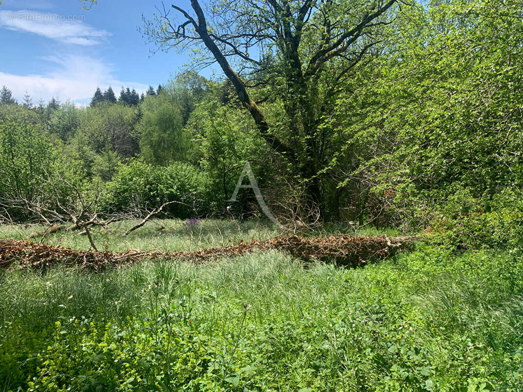 Terrain à FONTIERS-CABARDES