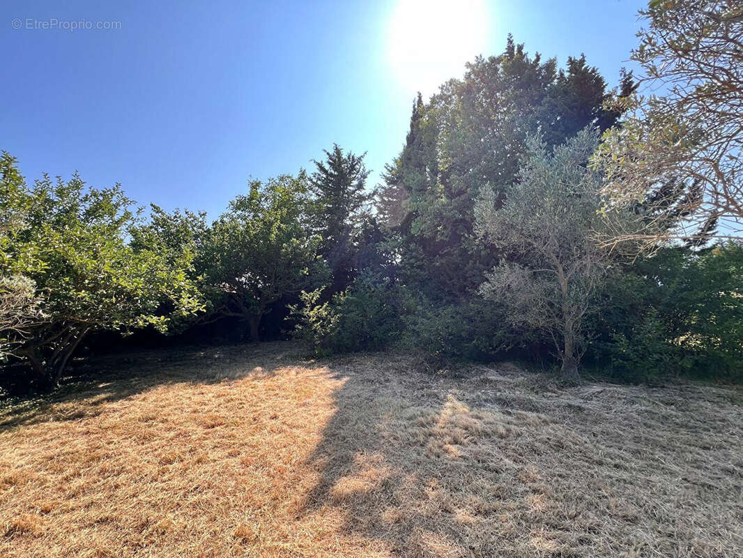 Terrain à PARADOU