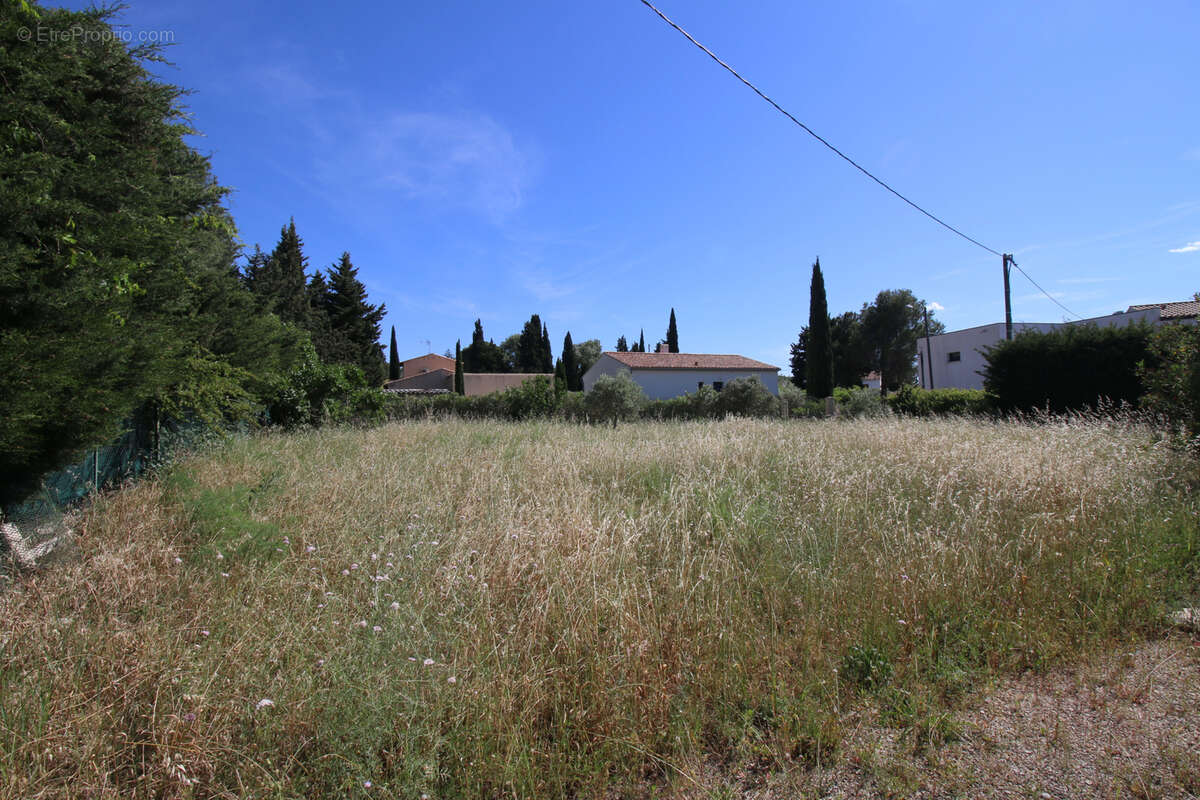 Terrain à FONTVIEILLE
