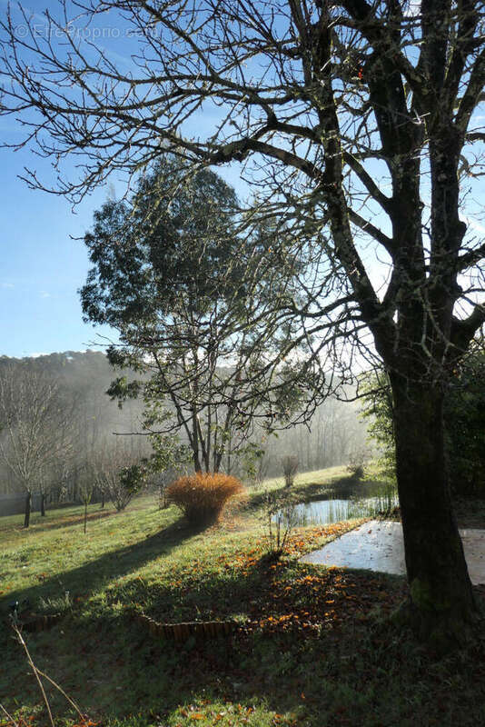 mare  - Maison à PRAYSSAC