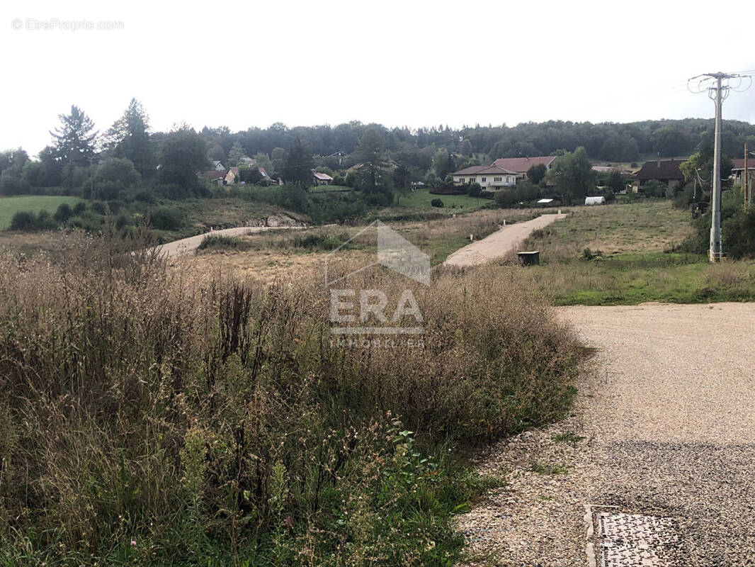 Terrain à L&#039;HOPITAL-DU-GROSBOIS
