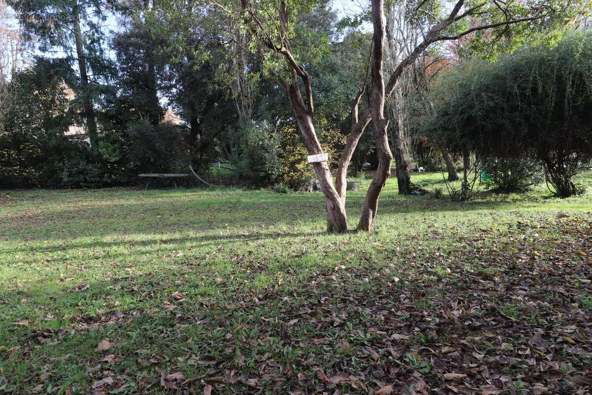 Maison à SAINTE-EULALIE