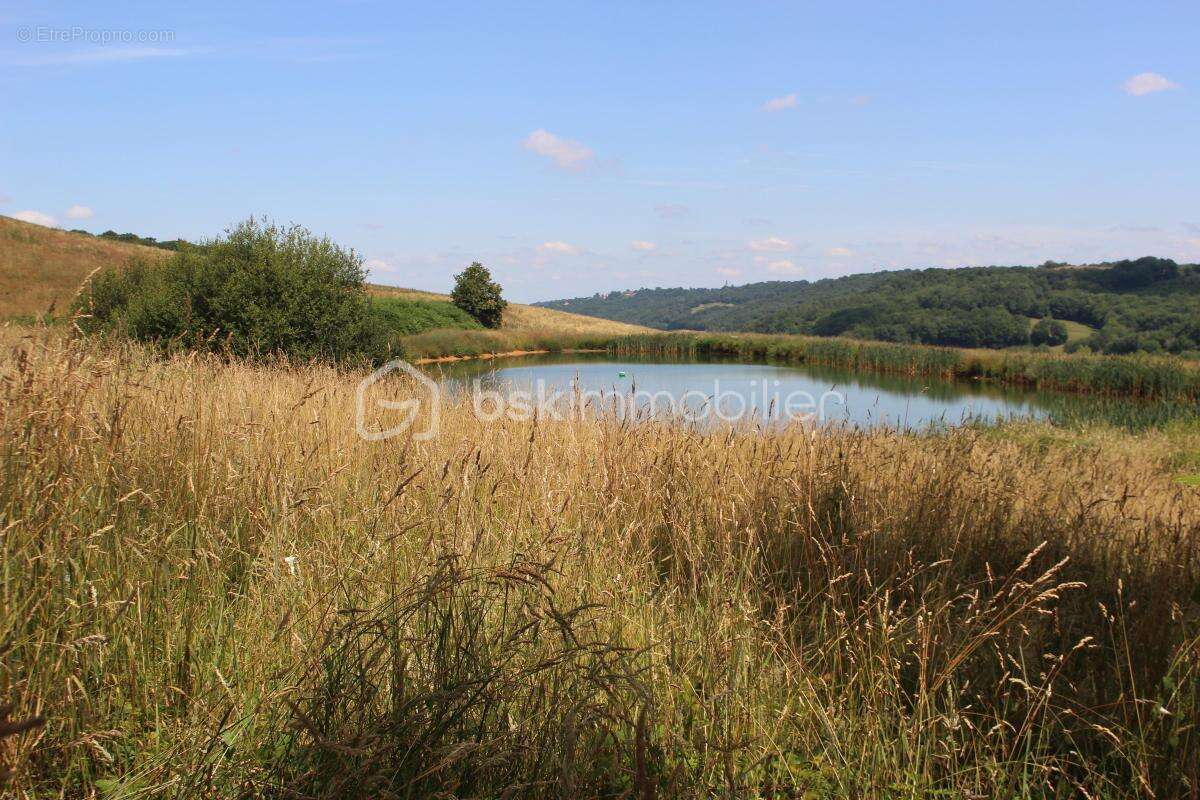 Authenticité et potentiel — Corps de ferme de 1797 sur 7 ha avec lac - photo 13