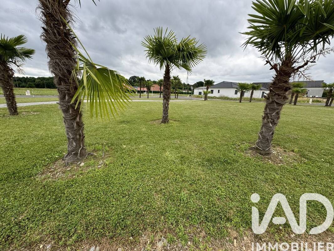 Photo 1 - Terrain à DENGUIN