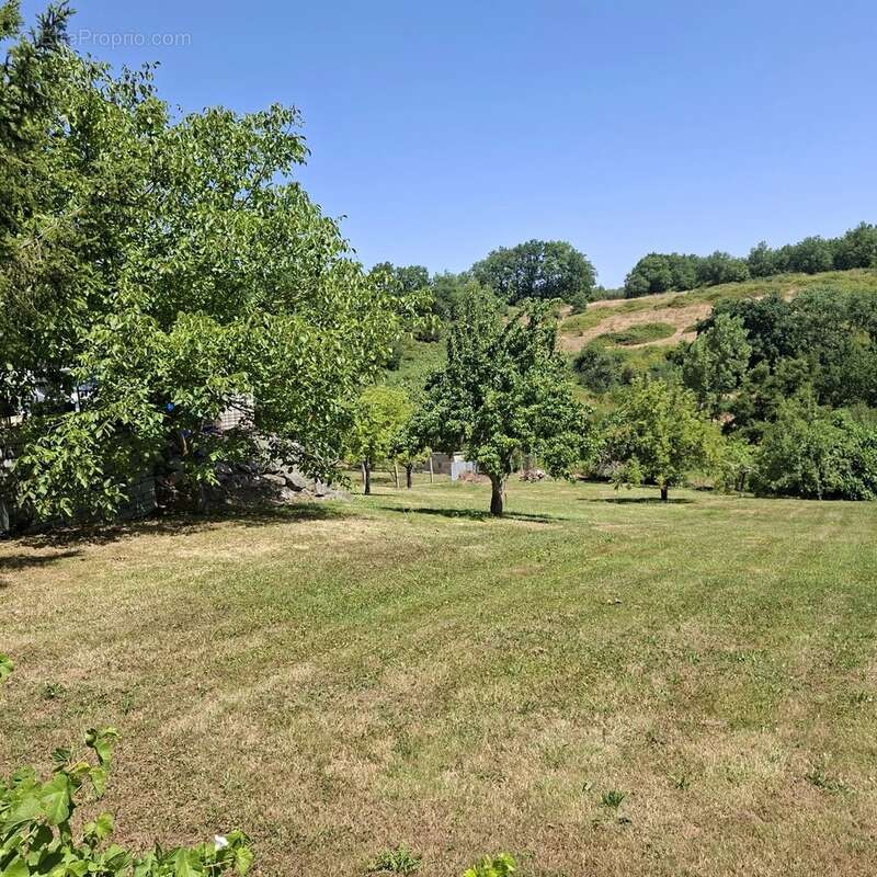 Terrain constructible - photo 3
