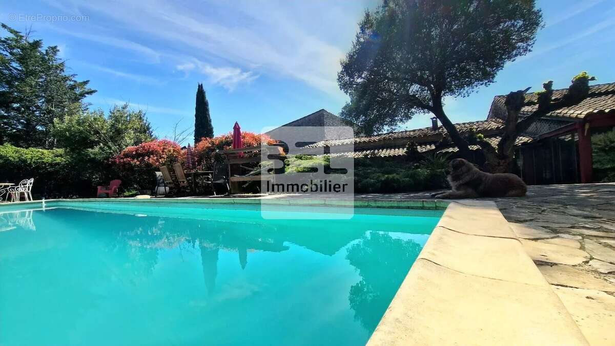 Propriété d'exception Mas et gîtes. - photo 2