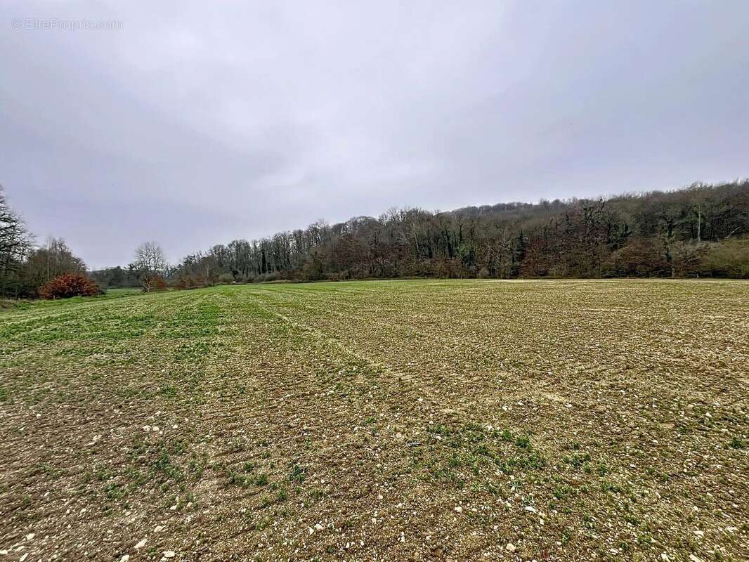 Terrain à FESTIEUX