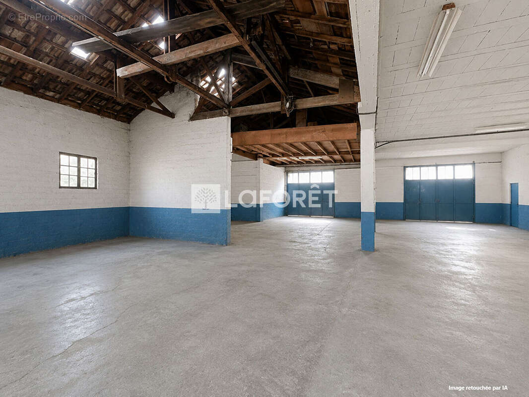 Le Bouscat - Projet immobilier - Appartements ou maison -330m² utile - photo 3
