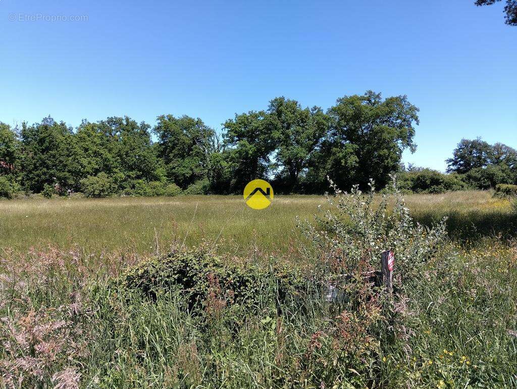 Terrain à LURCY-LEVIS