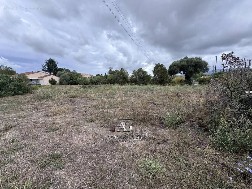 Terrain à PRUNELLI-DI-FIUMORBO