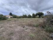 Terrain à PRUNELLI-DI-FIUMORBO