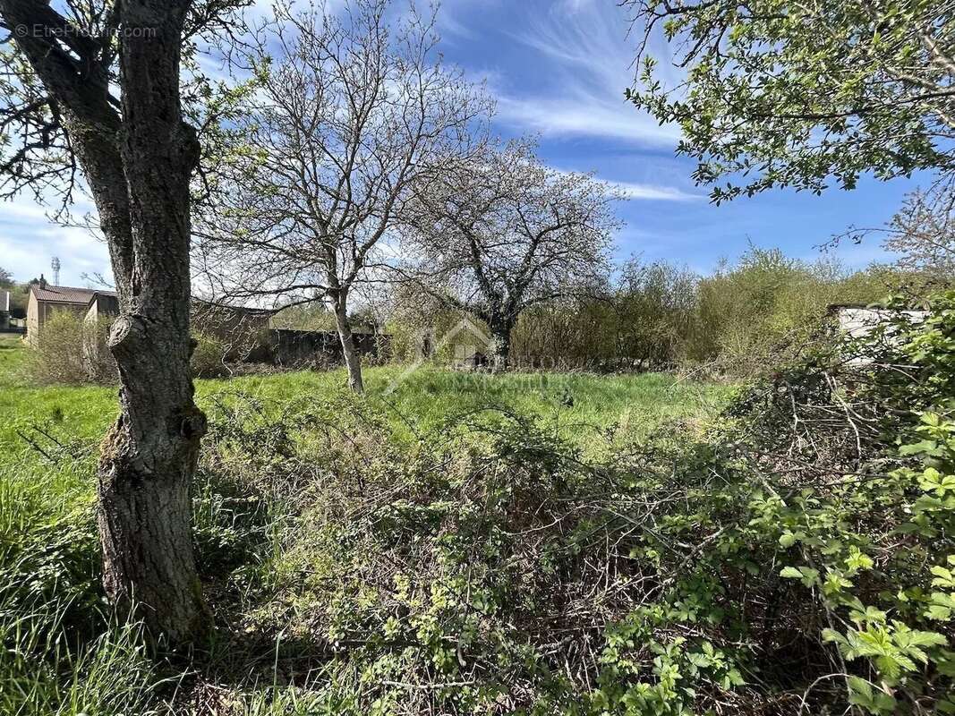 Terrain à MONTAUVILLE