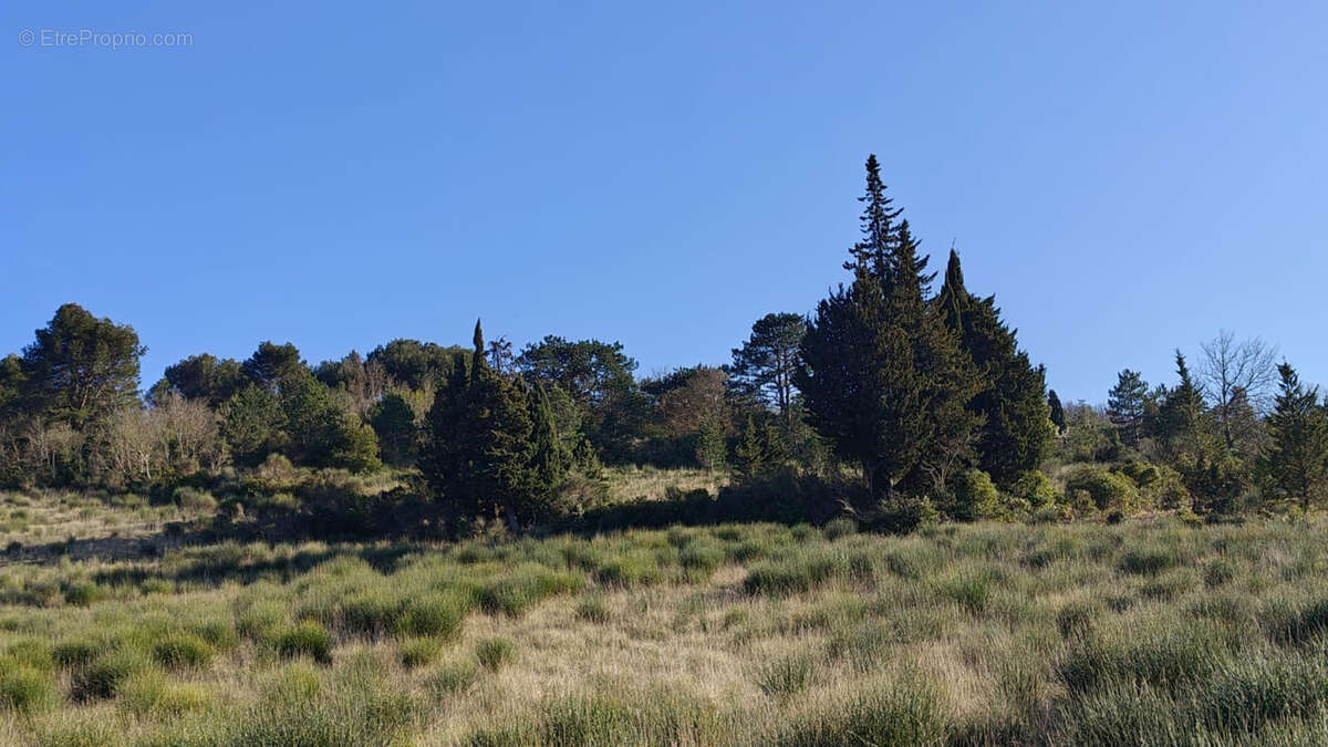 Terrain à LIMOUX