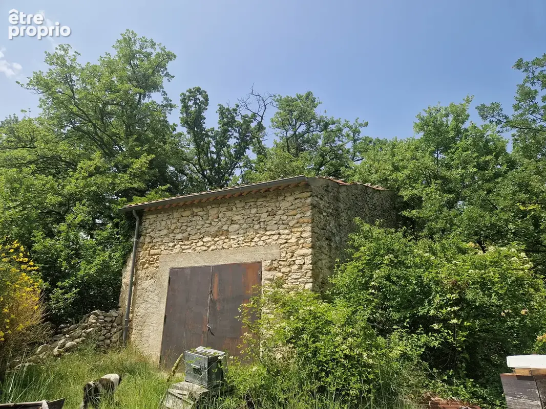 Cadre paradisiaque - photo 12