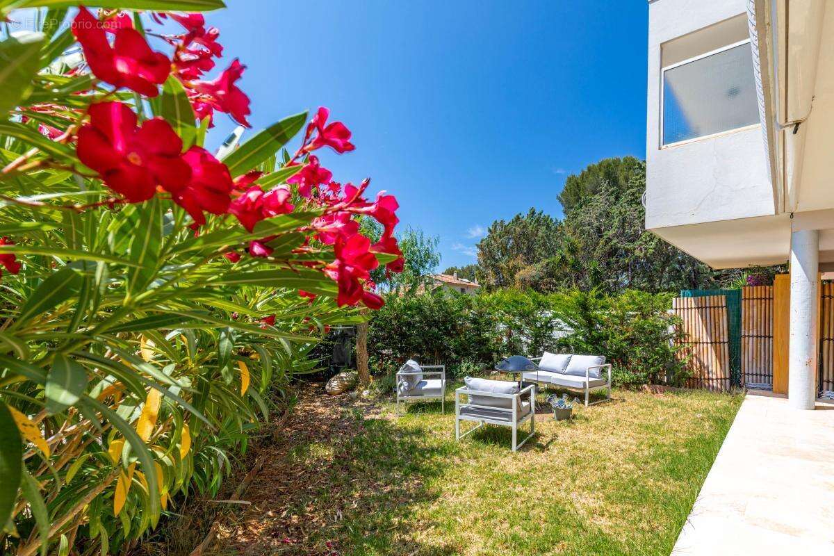 EXCLUSIVITÉ - SANARY PROCHE PORT - Appartement 3 pièces en rez-de-jardin avec cave et stationnement - photo 2