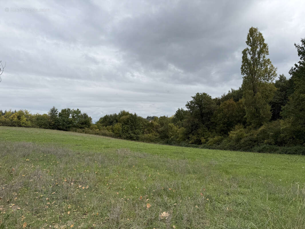Terrain à MARIGNAC-LASPEYRES